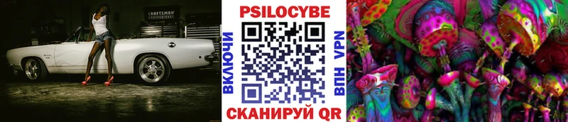 Псилоцибиновые грибы ЛСД  гидра tor  Вытегра 